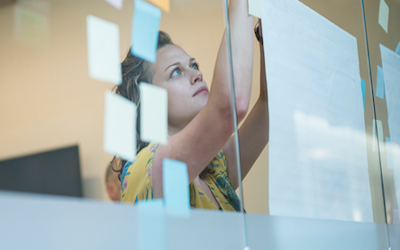 Wray Ward Solutions Overview