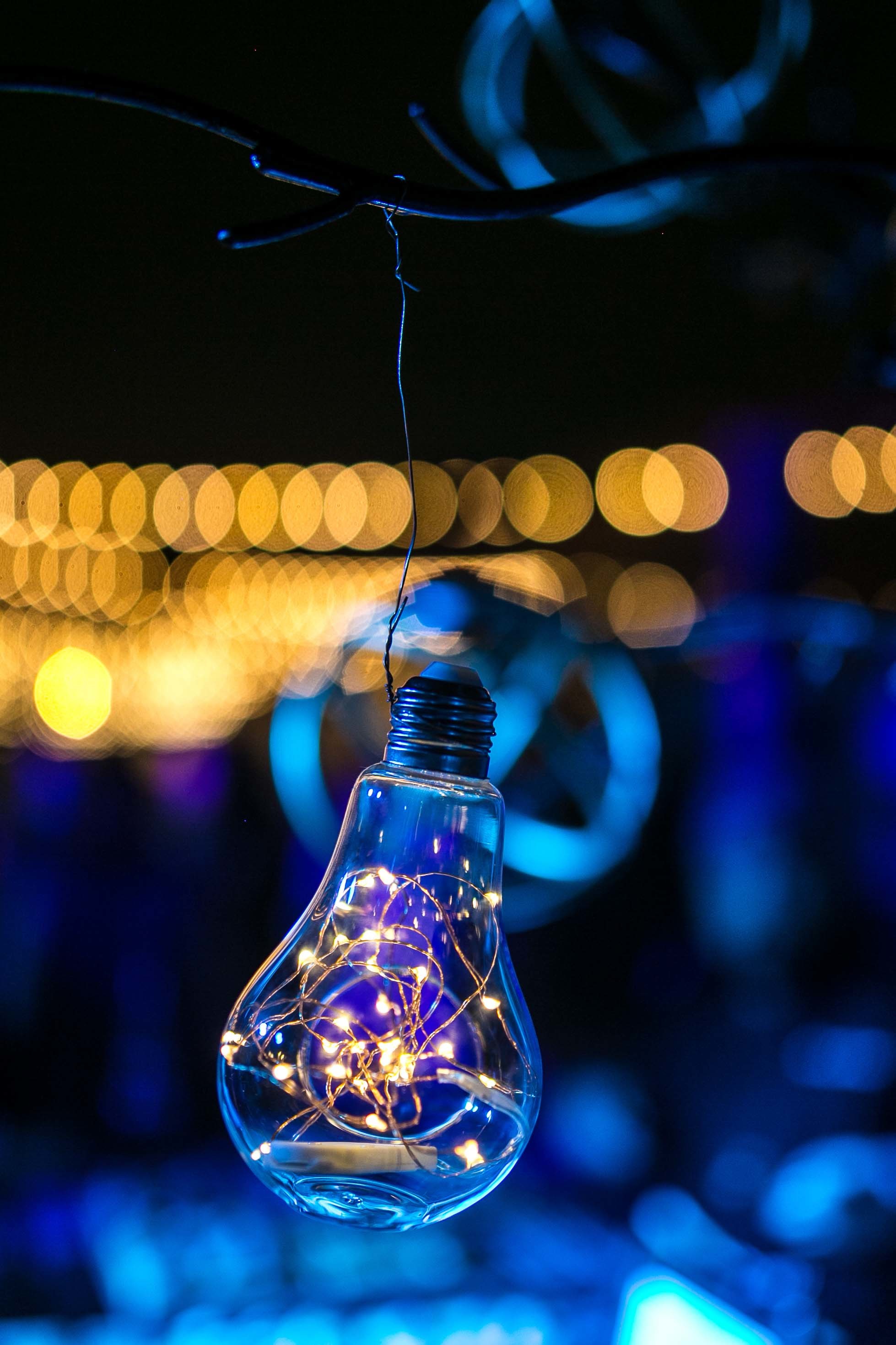 Wray Ward40 2017 Z84 A8720